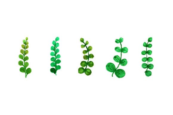 Modern Watercolor Leaf Set Design in Graphic Templates
