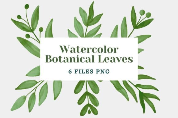 Watercolor Botanical Leaves Pack 08 for Crafts Branding